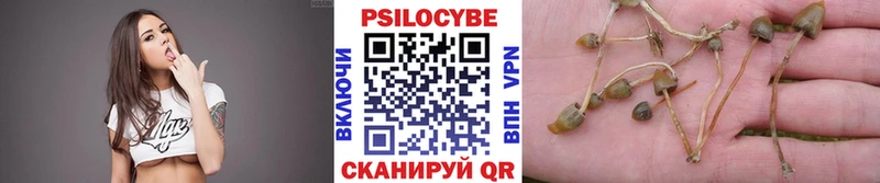 цена наркотик  Цоци-Юрт  Галлюциногенные грибы ЛСД 